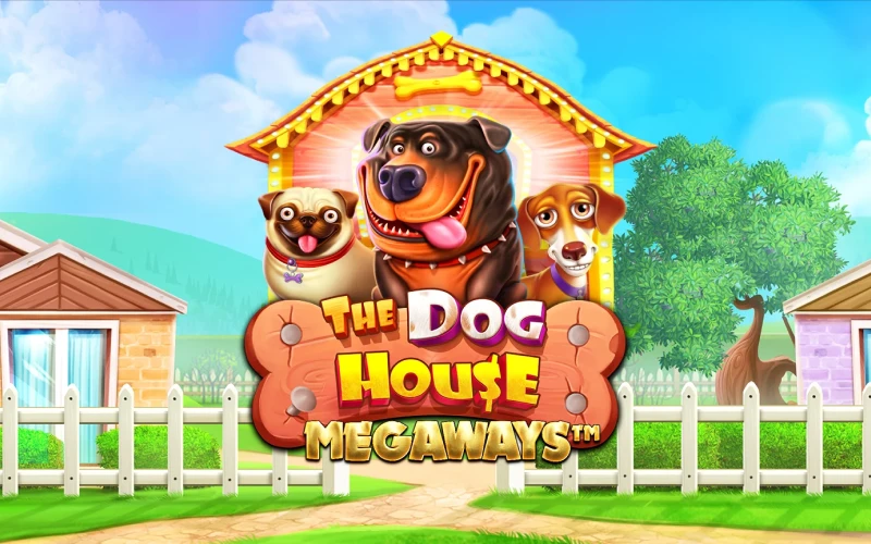 Play The Dog House Megaways slot for huge multipliers on Mostbet India.